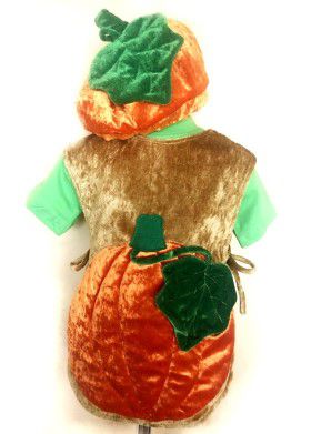 vegetable hat vest rent